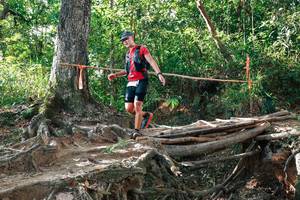 BIB: 
                            <button type="button" onclick="openModal(27553949)" class="btn btn-primary btn-sm float-right btn-popup" data-toggle="modal" data-target=".modal-high-quality">
                        <i class="fas fa-shopping-cart"></i> Add to Cart
                    </button>
                                            <button type="button" onclick="isThisMe(27553949, true)" class="btn btn-success btn-sm float-right btn-popup btn-isme hidden" data-toggle="tooltip" data-placement="bottom" title="นี่คือรูปของคุณใช่ไหม คลิกที่นี่เพื่อเอาเข้าอัลบั้ม">
                        <i class="fas fa-plus"></i> Add to album
                    </button>
                    <button type="button" onclick="isThisMe(27553949, false)" class="btn btn-warning btn-sm float-right btn-popup btn-isnotme hidden">
                        <i class="fas fa-ban"></i> Remove from album
                    </button>